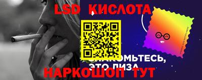 ешки Бердск