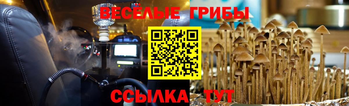 Дзержинск  хочу наркоту  Псилоцибиновые грибы MAGIC MUSHROOMS  Вход с VPN  Псилоцибиновые грибы прущие грибы 